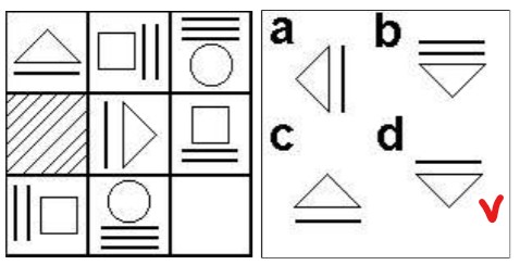 Ejemplo test IQ preguntas y respuestas